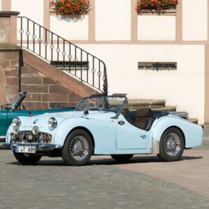 BASTUCK Classic: Triumph TR2-3B: MANIVELLE DU BOITIER DE DIRECTION